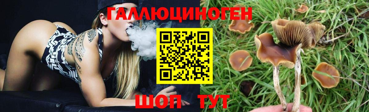 Псилоцибиновые грибы Cubensis  Галлюциногенные грибы MAGIC MUSHROOMS  Вход с VPN  магазин  наркотиков  Пушкино 